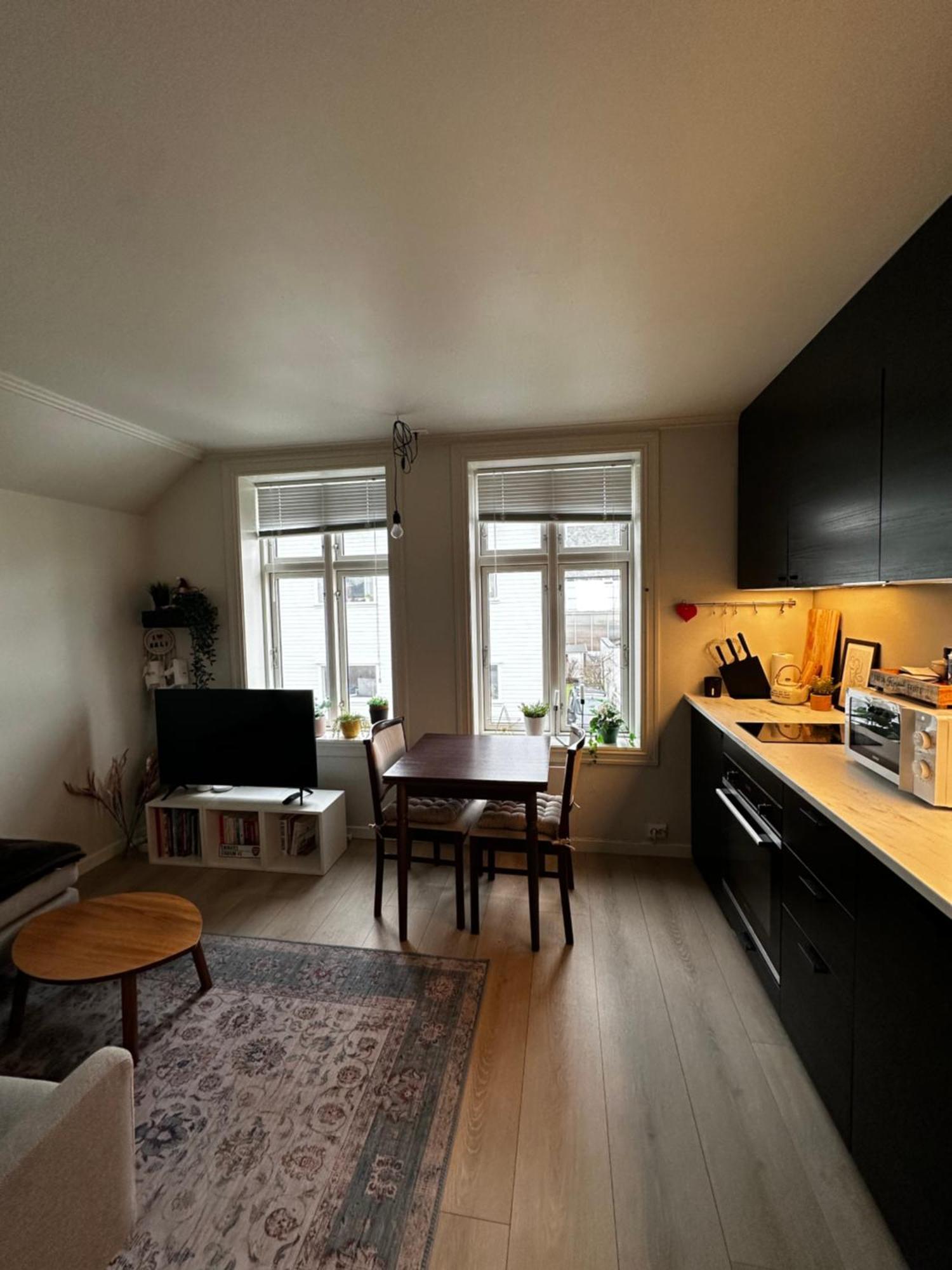 Bjorn'S Sanctuary - City Center Apartment Stavanger Exterior photo